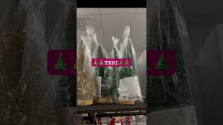 🌲TEDI WEIHNACHTSDEKO🎄 [upl. by Archy]