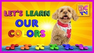 Learn Colors With Lizzy the Dog  Educational Video for Kids by Brain Candy TV [upl. by Isaac]