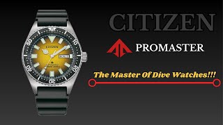 The Citizen Promaster  NY012001X  The PRO Dive Watch 🔥🔥 [upl. by Peacock]