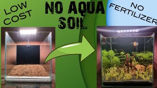 Low tech aquascape tank NO CO2 NO Fertilizer NO Aquasoil [upl. by Aciamaj]