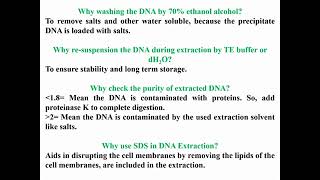 Questions Concerning DNA Extraction [upl. by Olivia]