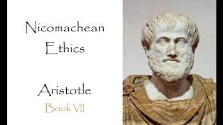 The Nicomachean Ethics  Book VII Audiobook [upl. by Sirah]