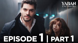 Yaban Çiçekleri Episode 1  Part 1 Subtitled in English YabanCicekleriEnglish [upl. by Millford]