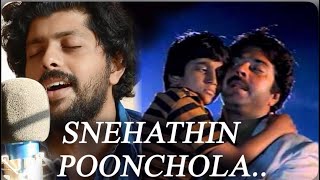 Snehathin Poonjolatheerathil from Pappayude Swantham Appoosvijoysmusicmoments9522 song [upl. by Ahseneuq]