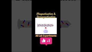 Magnetization amp Demagnetization  Explanation with Animation physics shorts [upl. by Trovillion]