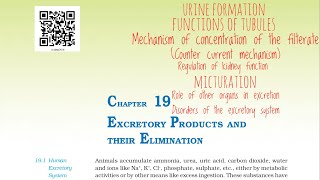 Excretory products and their elimination NCERT Part  3 For NEET [upl. by Emlynn681]