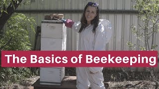 Beekeeping for beginners The absolute basics [upl. by Gabi]