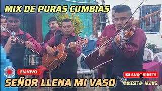 Señor llena mi vaso  Conjunto levántate y resplandece  Mix de puras cumbias 100 VIOLINES [upl. by Aiepoissac597]