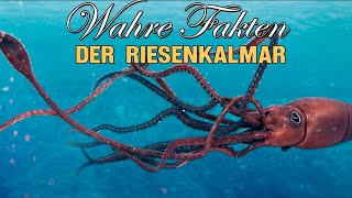 Der Riesenkalmar  mysteriöser Bewohner der Tiefsee Interessante Fakten über den Kolossalkalmar [upl. by Enrico]