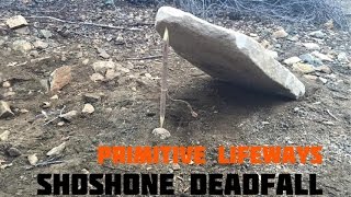 Shoshone Deadfall Trap [upl. by Valleau]