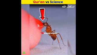 Quran vs Science  Arslan Speaks shortsfeed facts ants science [upl. by Eiznekcam556]