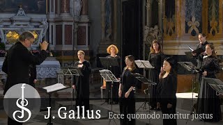 Jacobus Gallus  Ecce quomodo moritur justus  Dresdner Kammerchor [upl. by Ylim219]