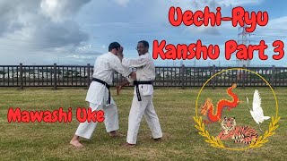 Kanshu Applications  Part 3 UechiRyu Karate [upl. by Essej280]