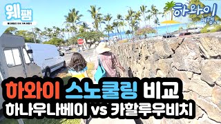 하와이 스노클링 초보자는 어디로 가야할까요 Kahalu’u Beach vs Hanauma bay 하나우마 베이  미국여행 하와이 EP12 [upl. by Cordell763]