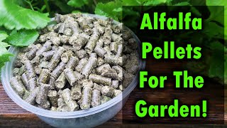 Alfalfa Pellets As Fertilizer For Your Garden [upl. by Deeyn451]