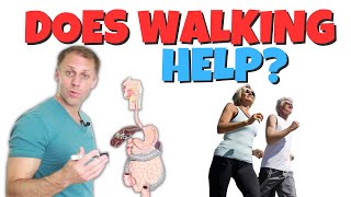 Does Walking Really Relieve Digestive Symptoms [upl. by Britney728]