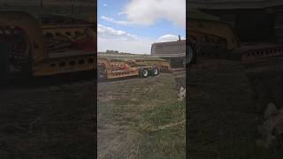 27 million views on IG🤷‍♂️ jpaydirt caterpillar d9g murraytrailers kenworthw900b [upl. by Dorella]