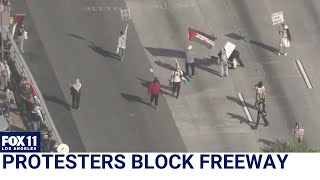 ProPalestine protesters briefly block LA freeway traffic [upl. by Filippa]