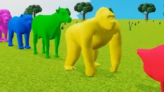 paint animal cartoon calar animal शेर चीता हाथी टाइगर गया बतख भालू cow gaiya animal cartoon [upl. by Cindelyn]