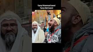 Abbas Abdali  new Naat  Manqabat Mola Ali  Noor e Muhammad Noor e Ali ♥️ ytshorts shortsfeed [upl. by Ydniahs315]