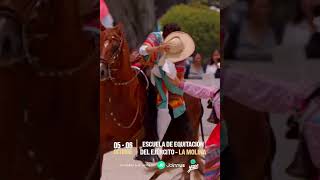 Dpaso Fest Mundial del Caballo Peruano de Paso [upl. by Gniw]