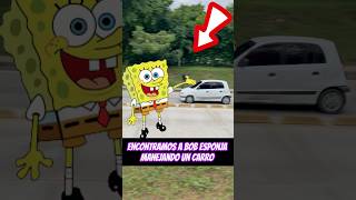 Encontramos a Bob esponja manejando un carro 😱😱 [upl. by Nathanial826]