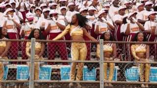 Bethune Cookman  Mr Ice Cream man  HBCU Marching Bands [upl. by Nye]