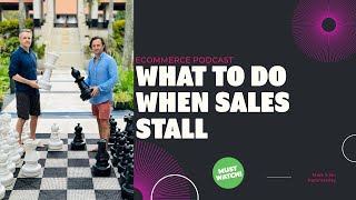 Hammersley Brothers Podcast  What To Do When Sales Stall [upl. by Durward]