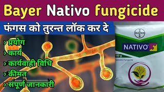 nativo fungicide  bayer Nativo fungicide  nativo uses  Nativo dose  nativo price  nativo [upl. by Spalla]