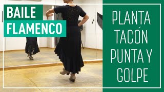 Zapateado Básico Flamenco  PLANTA TACÓN PUNTA Y GOLPE💃 [upl. by Draner]