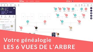 Généalogie  6 manières de visualiser son arbre avec Filaecom [upl. by Wyatan]