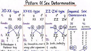 Patterns of sex determination  class 12 [upl. by Austin]