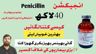 Injection Penicillin 40 Lac  Uses In Buffalo Cow Goat Horses [upl. by Alayne]