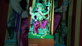 Chirabazaar cha Raja darshan 2024 [upl. by Aikrahs]