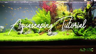 Step by Step Aquascaping Tutorial 200L [upl. by Sherris691]