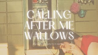 แปลไทย  Lyrics  Wallows  Calling After Me [upl. by Garaway]