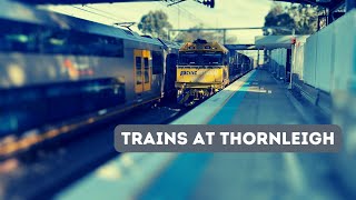 Sydney Trains Mania  Trains at Thornleigh [upl. by Naryt724]