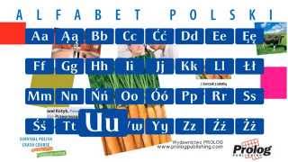 Alfabet polski  Polish Alphabet pronunciation  PROLOG Publishing [upl. by Weinrich532]