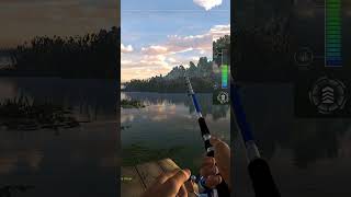 Unique Largemouth Bass  Everglades  Fishing Planet shorts gaming fishing fishingplanet [upl. by Dranik]