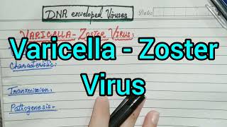 Varicella  Zoster Virus  Virology  Microbiology [upl. by Maurilia624]