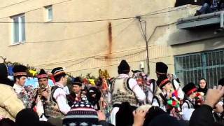 Caiutii din Vorona 2012MP4 [upl. by Procto]