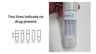 Screenclear saliva drug test procedure [upl. by Bramwell]