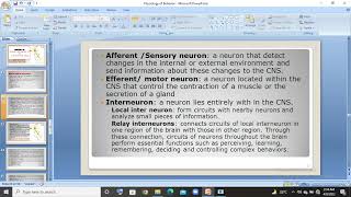 3 types of neuron Sensory motor interneuron  urduhindi lec [upl. by Amando]