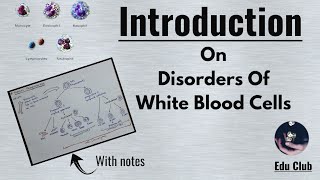 Disorders of White Blood Cells  Introduction  Neoplastic Disorders White Cell Disorder Pathology [upl. by Narot]