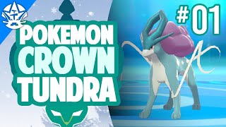 THE STORY BEGINS  Pokemon Crown Tundra Episode 1  Sword and Shield DLC [upl. by Salem]