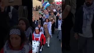 Demonstration in support of Palestine in Sweden [upl. by Neffets342]