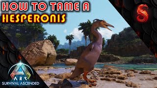 ARK SURVIVAL ASCENDED HOW TO TAME A HESPERONIS [upl. by Ragan]