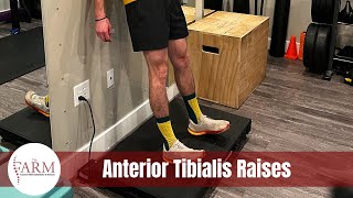 Anterior Tibialis Raises [upl. by Llebana]