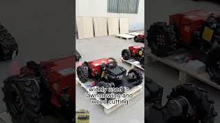 cordless trimmer lawn mower for sale from China manufacturer factory [upl. by Ajaj922]