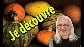 la courge poivré au gratin [upl. by Rox]